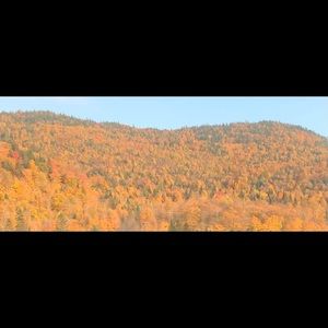 Meet your Posher, Marilyn